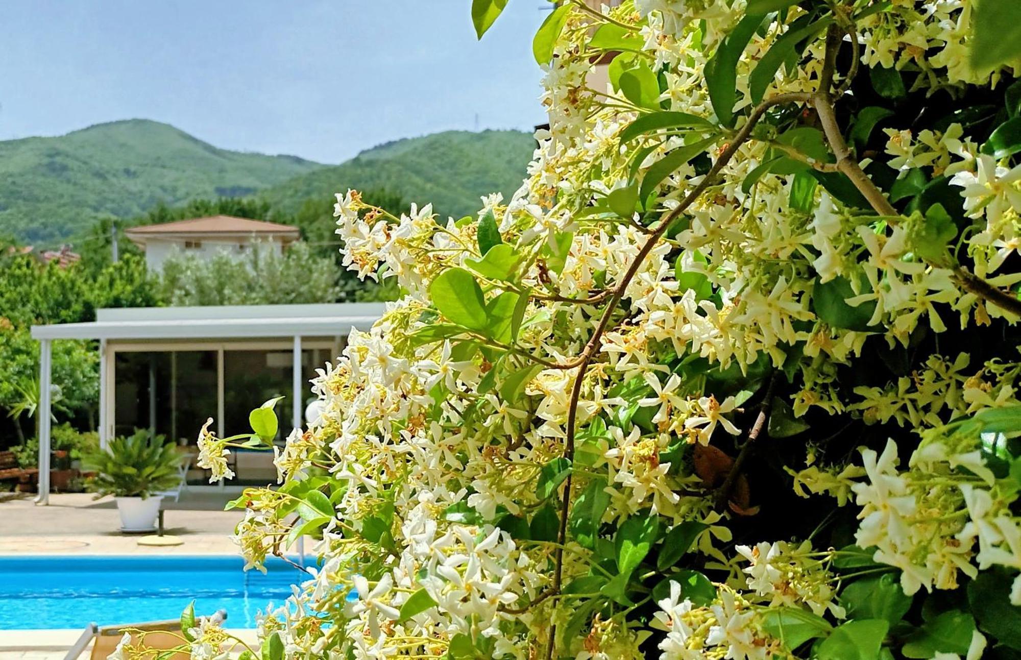 La Residenza Del Marchesato Bed & Breakfast Marano Marchesato Ngoại thất bức ảnh